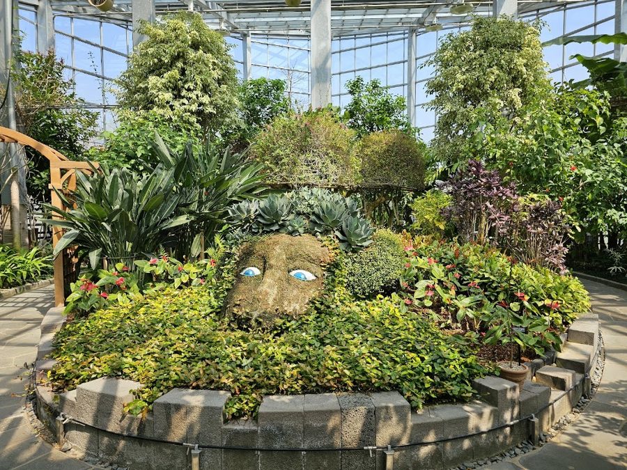 韓巴樹木園 熱帶植物園