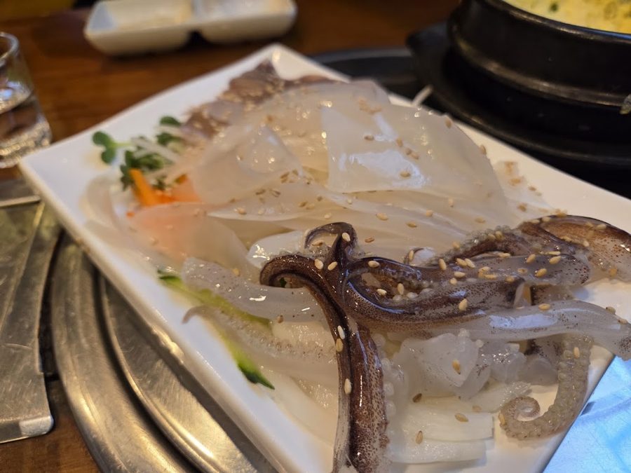 Cuttlefish Story
