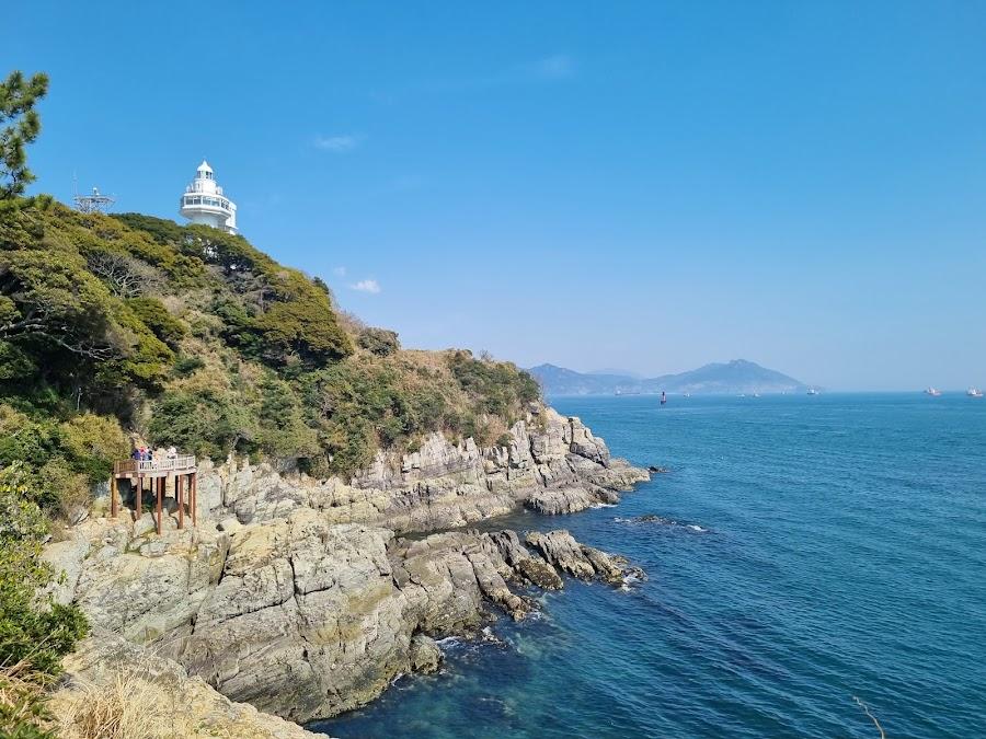 梧桐島