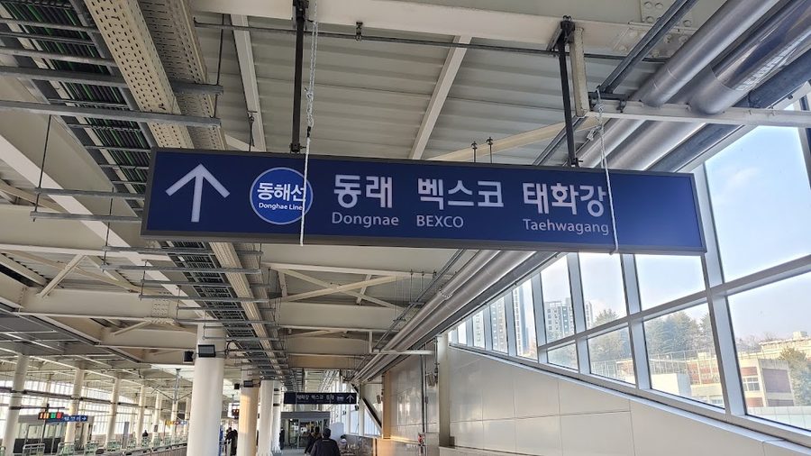 교대