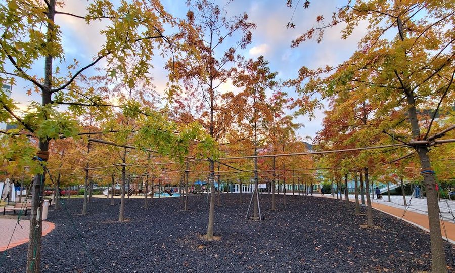 伽倻カムゴゲ公園