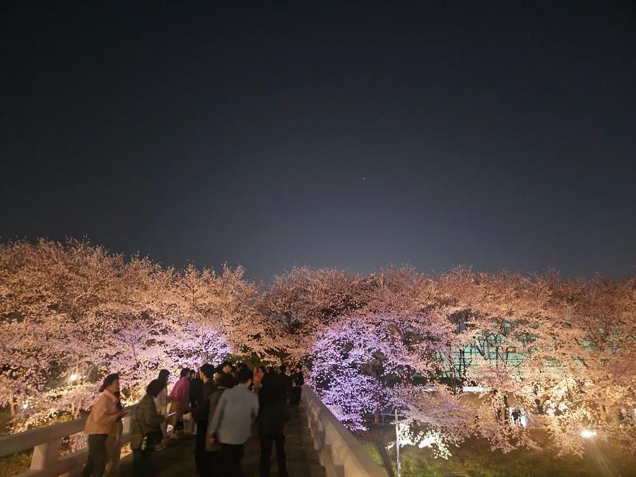 良才川