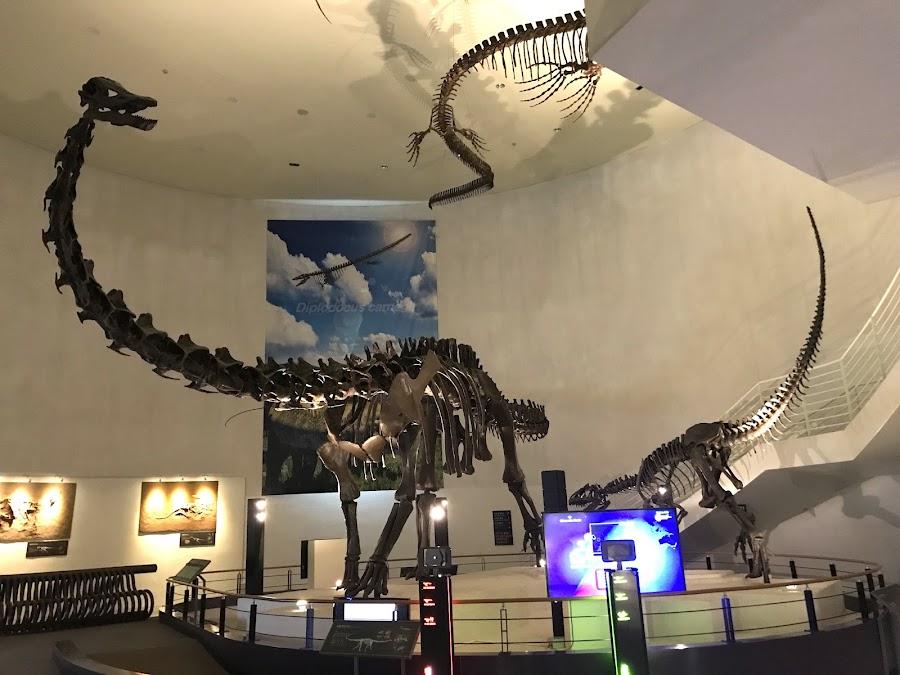 Mokpo Natural History Museum