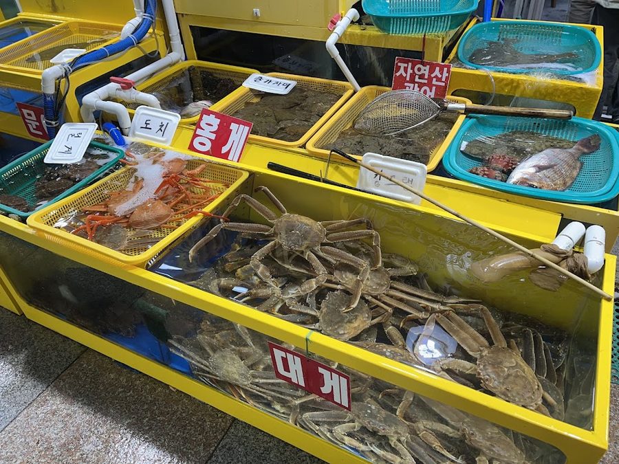Ogine Maeuntang