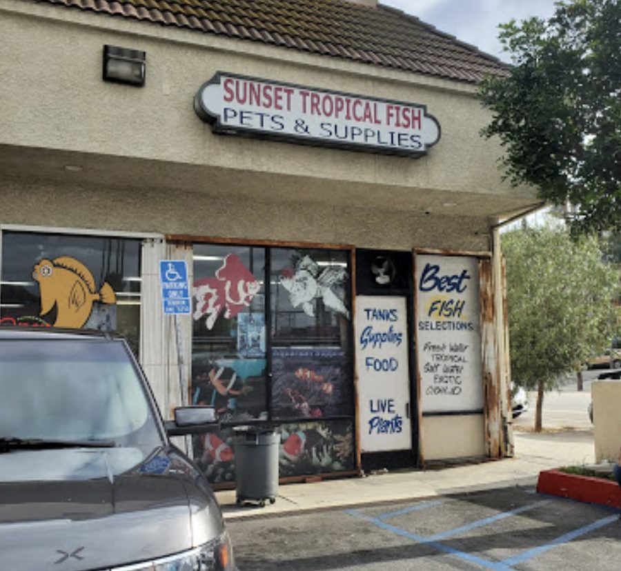 Sunset Pet & Supplies