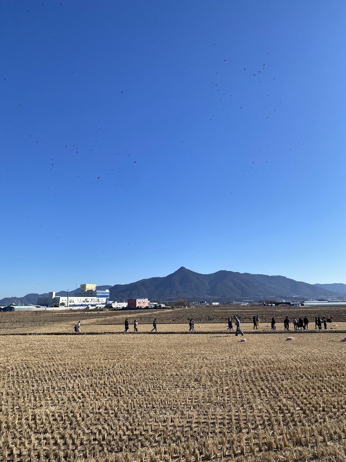 コソン ワシ生態学習場