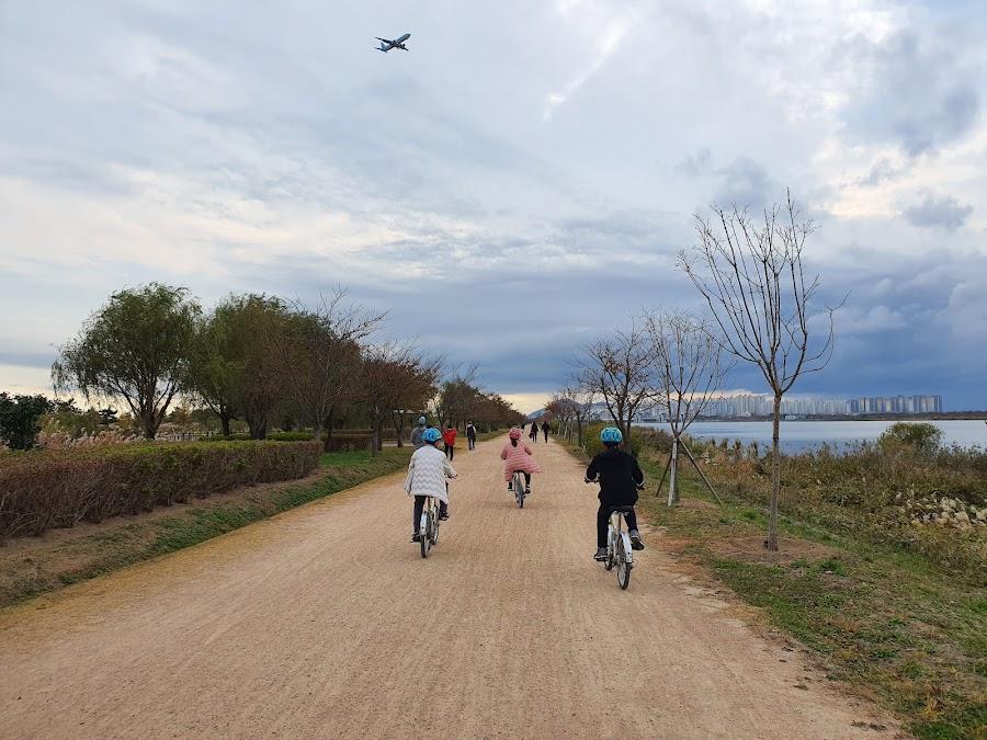 乙淑島公園