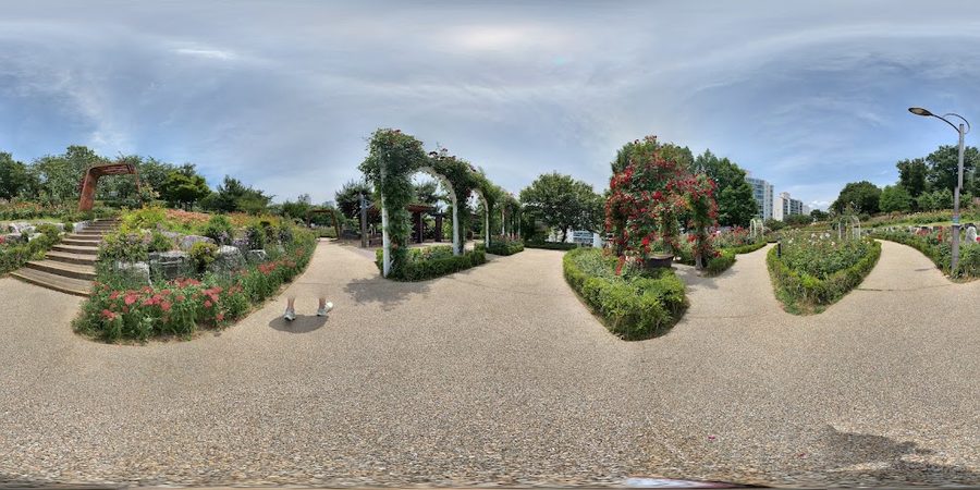 Daehyeonsan Rose Garden
