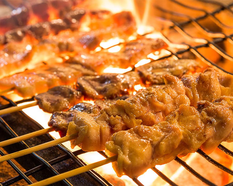 Fujidori