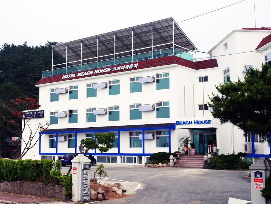 코게러지카페