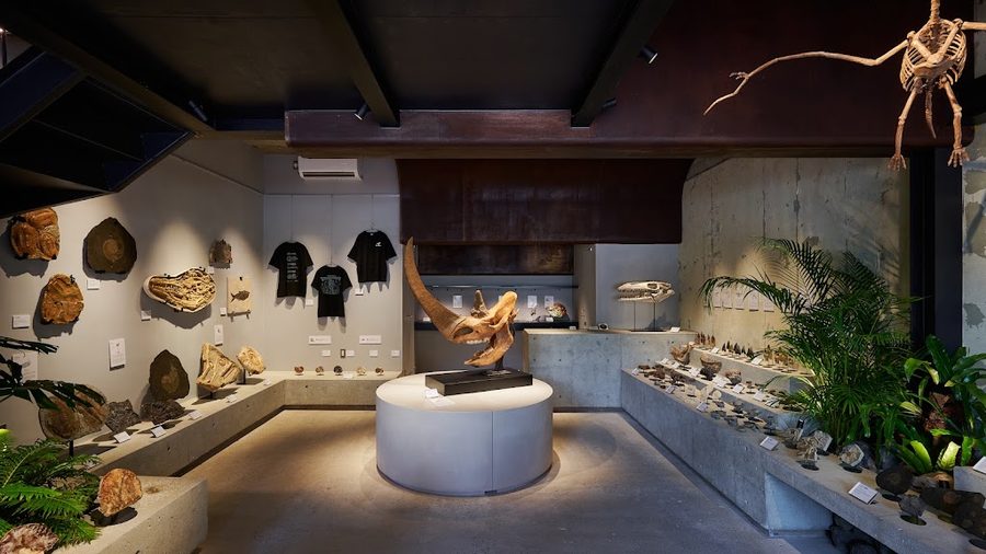Fossil Emporium & Museum