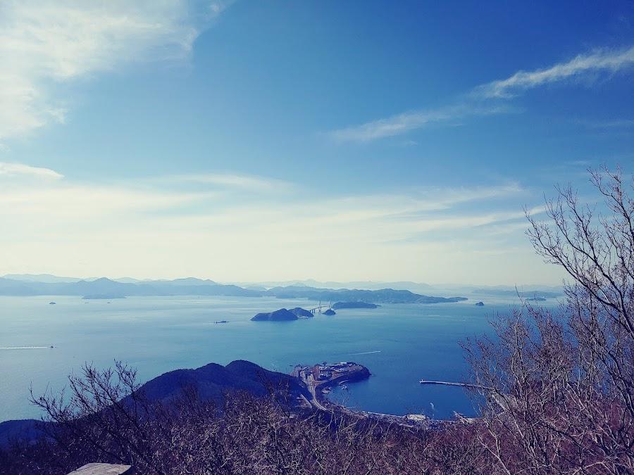 大項展望台