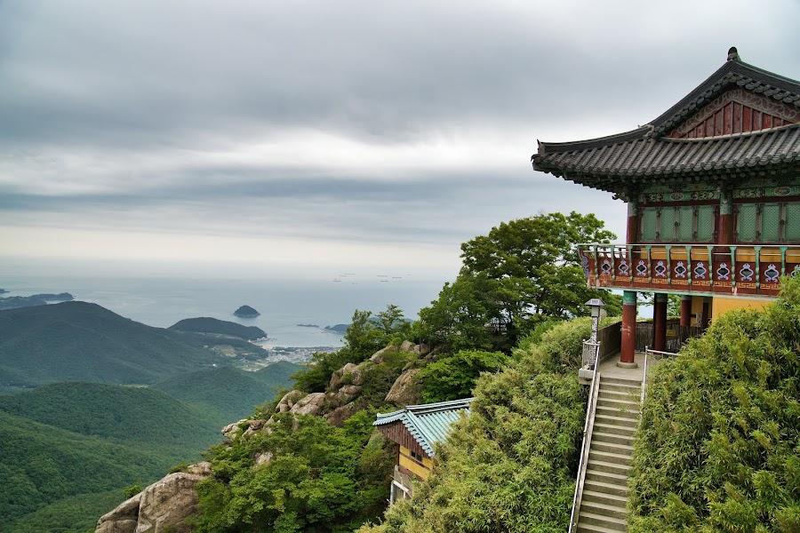 菩提庵