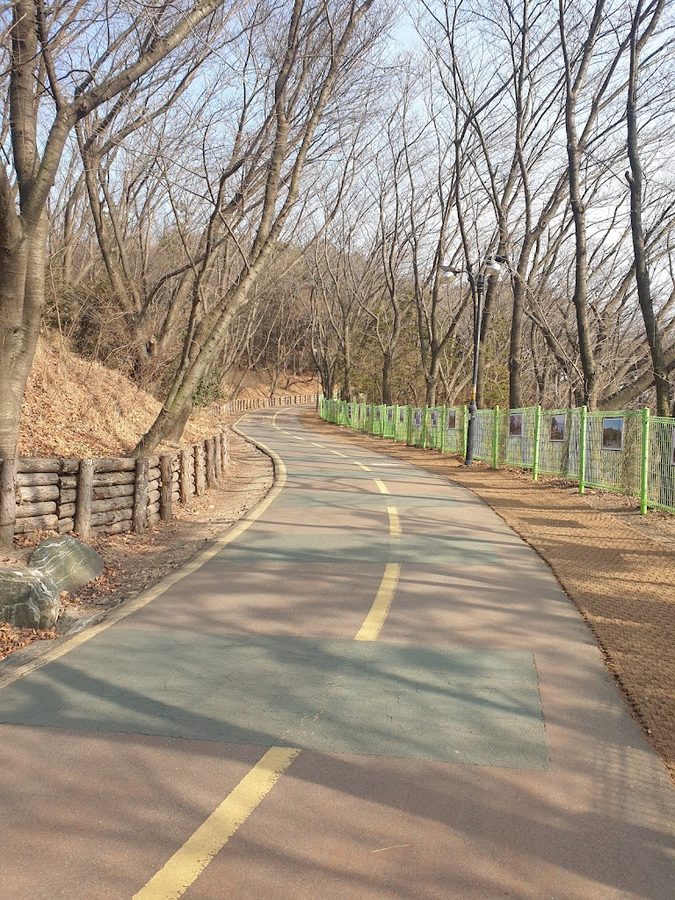 월미도 산책로