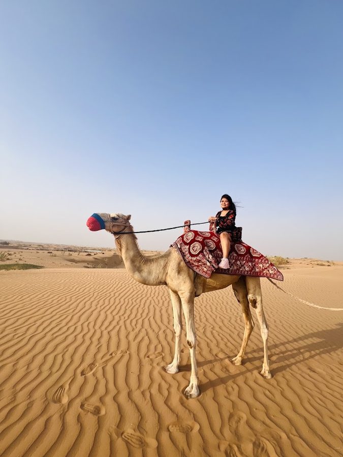 Go Dubai Desert Safari Tours