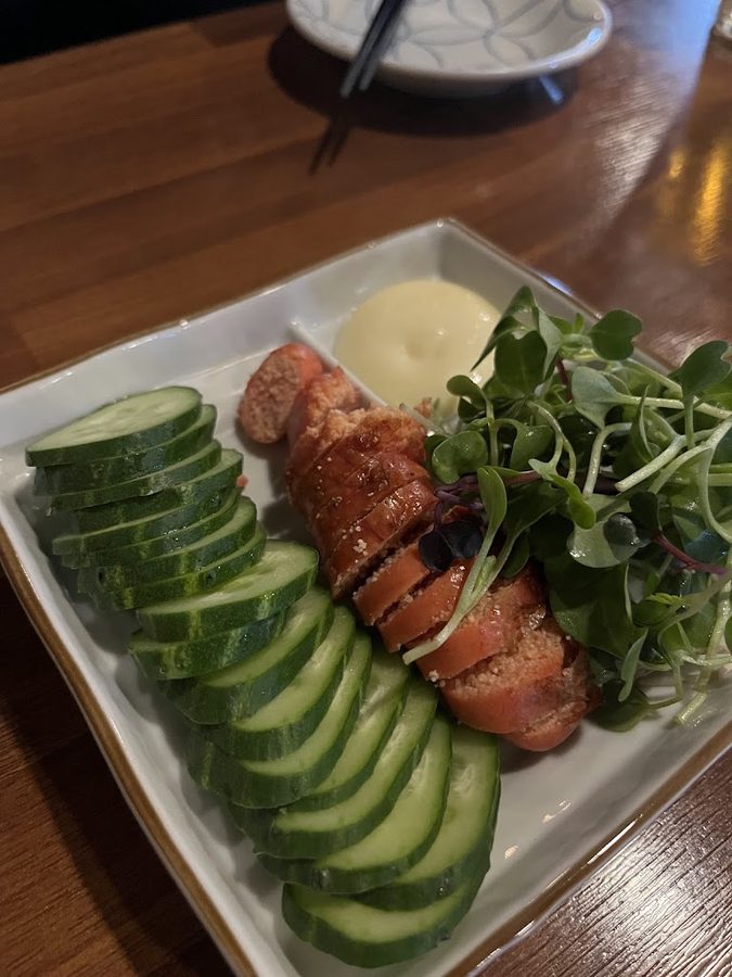 카지츠