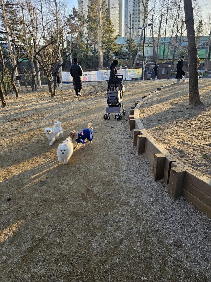 波拉美公園 寵物犬遊戲場