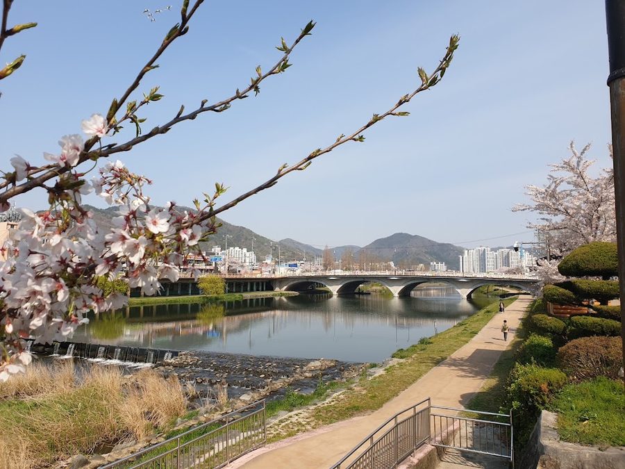 장대공원
