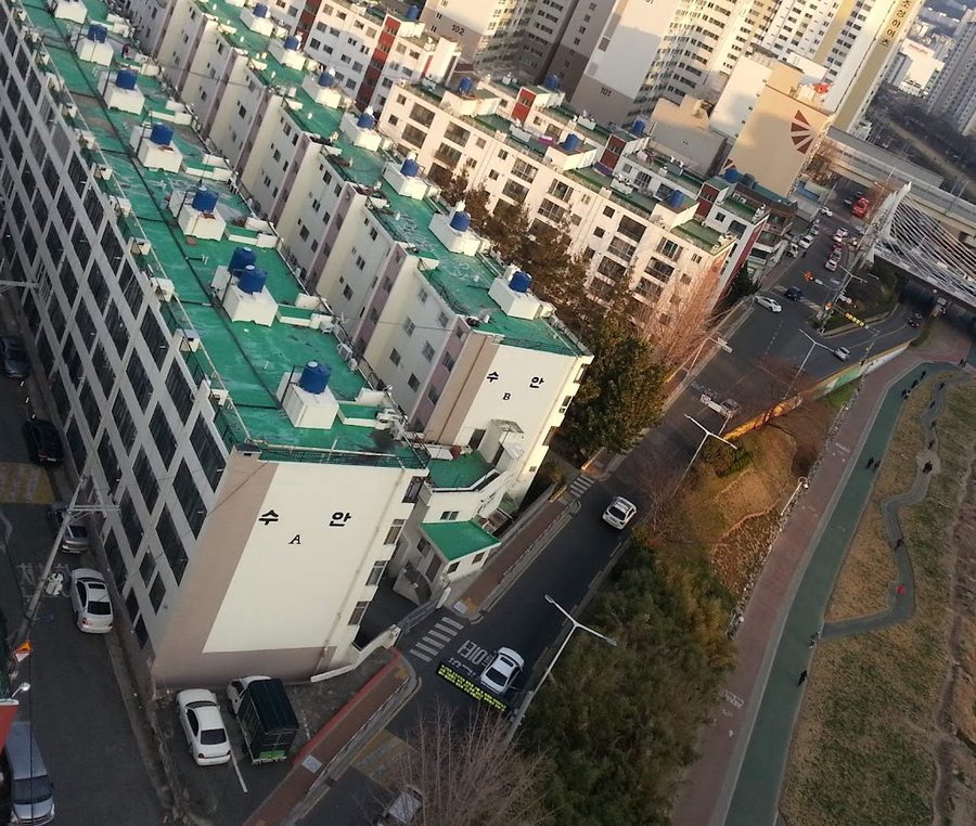 동래올빼미