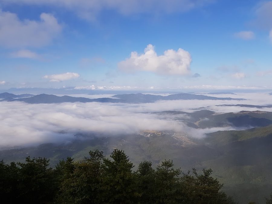 토함산