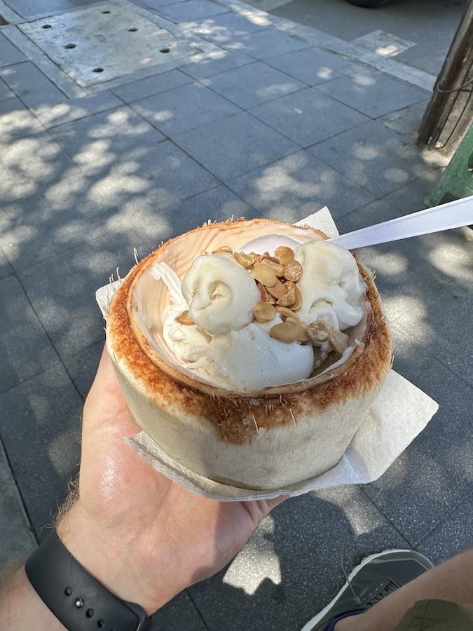 Coconut Ice cream