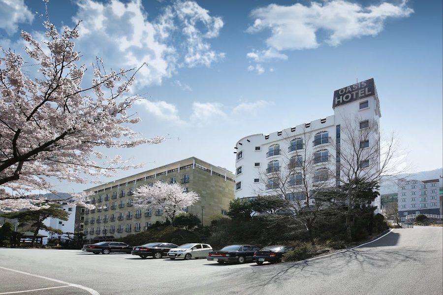 Hotel STAY:ON