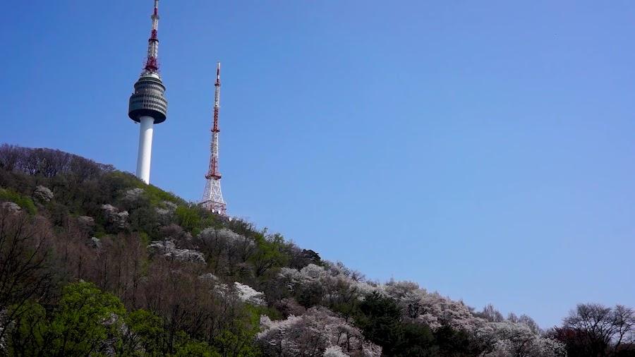 南山