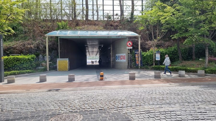 漢江公園 トジョンナドゥルモク