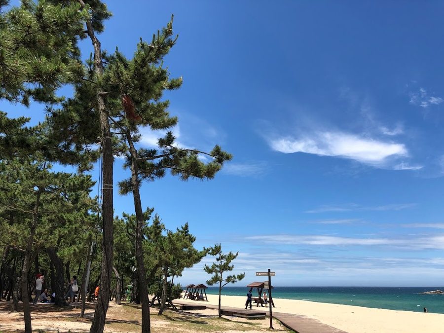 鏡浦臺海邊