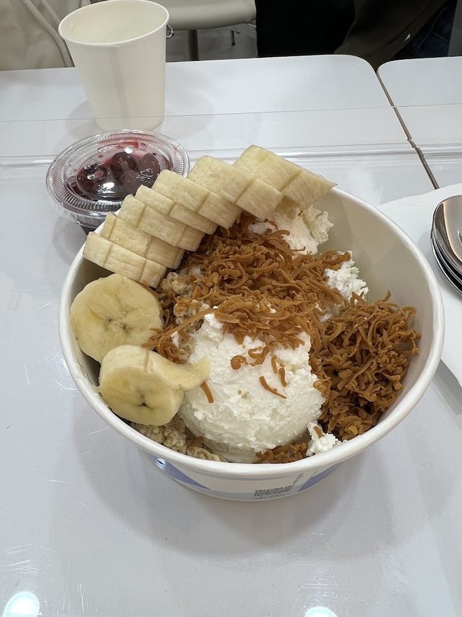 Yogurt World