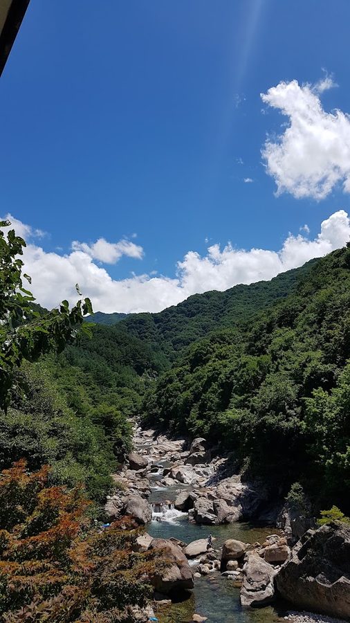 ナドゥリ農園