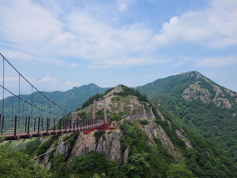 蛇梁島