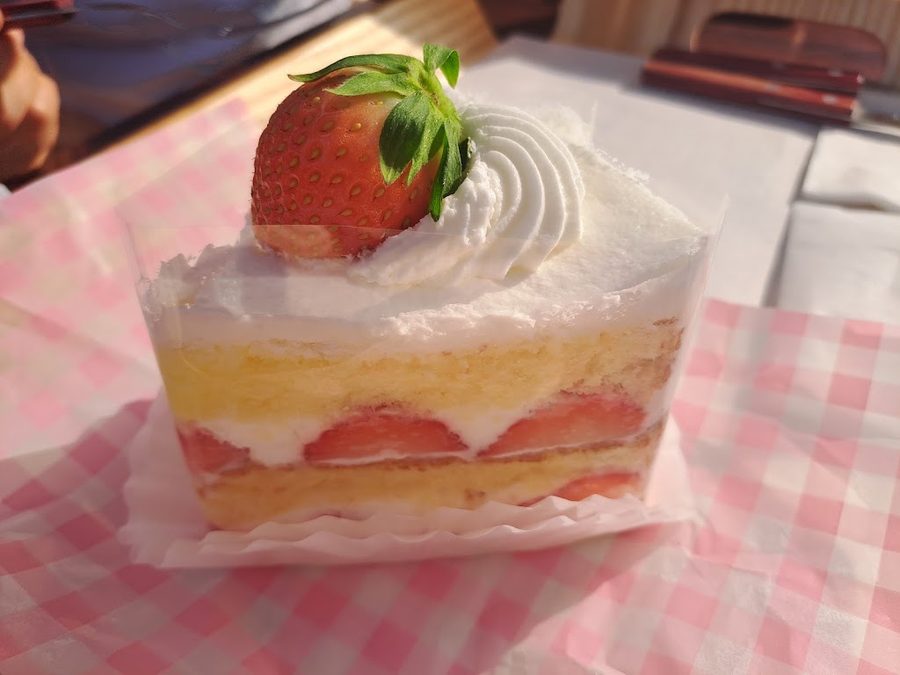 多彬西點