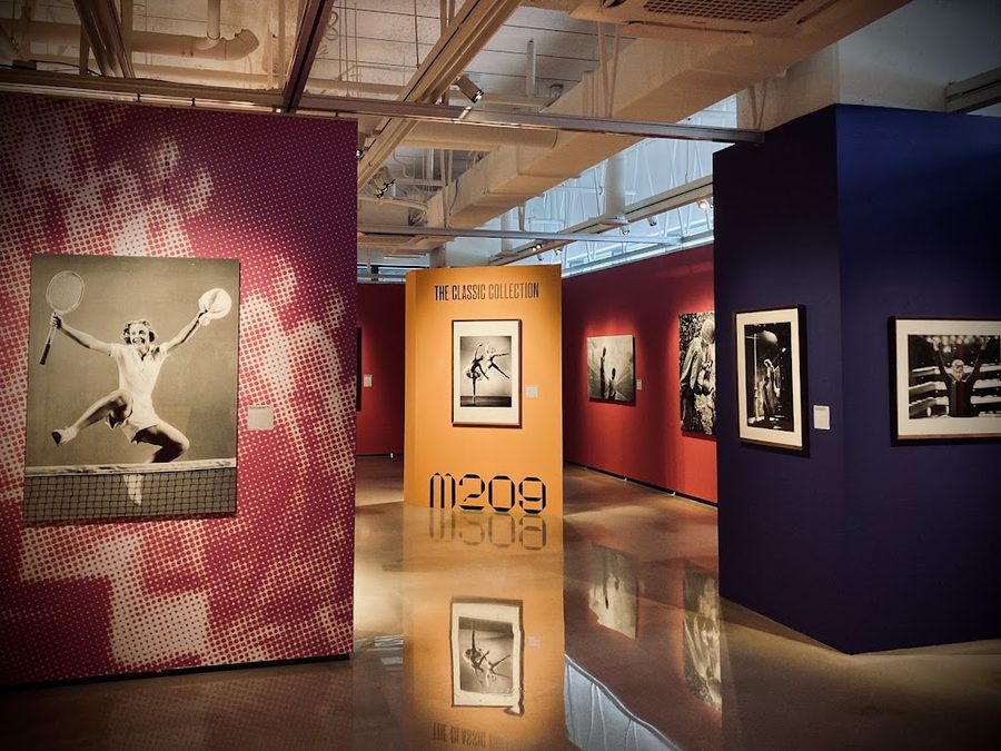 Museum 209