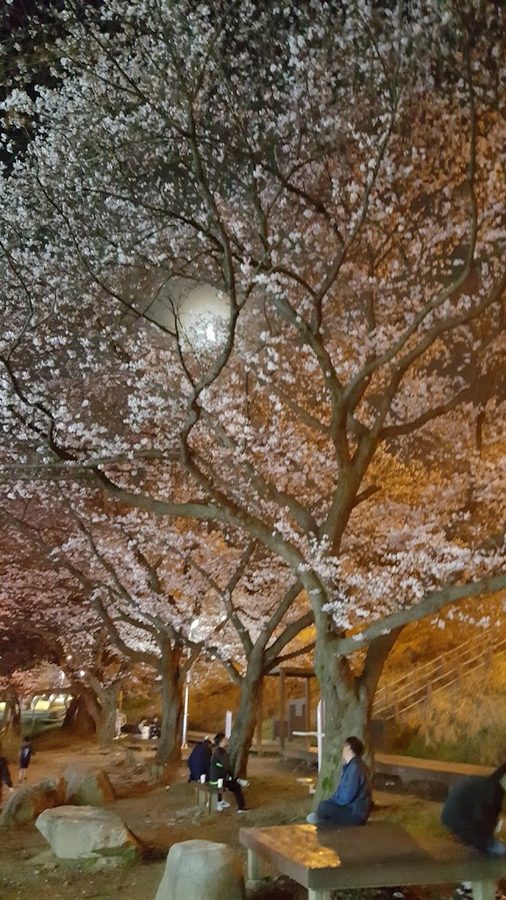水城路兒童公園