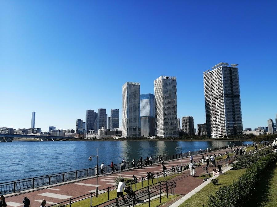 豐洲公園