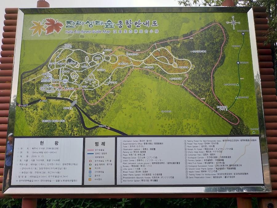 漢拏 生態林