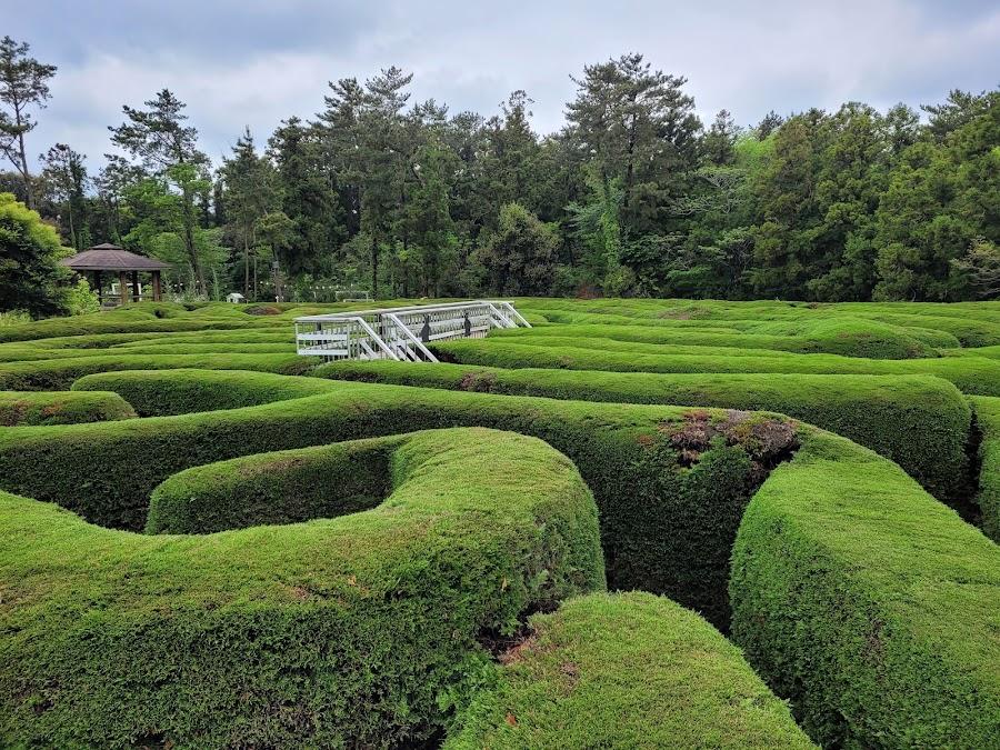 Gimnyeong Maze Park