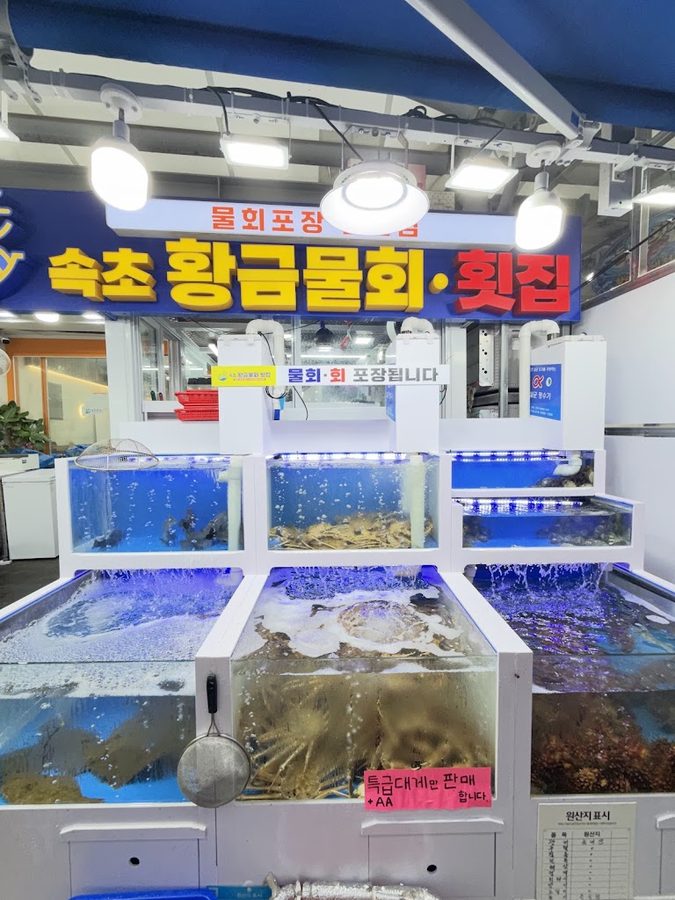 束草 黃金水拌生魚片