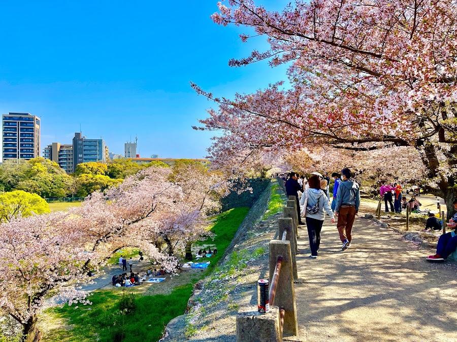 舞鶴公園