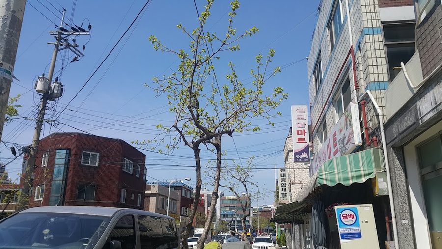 지상공원