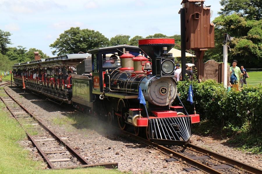 Eco Land Theme Park