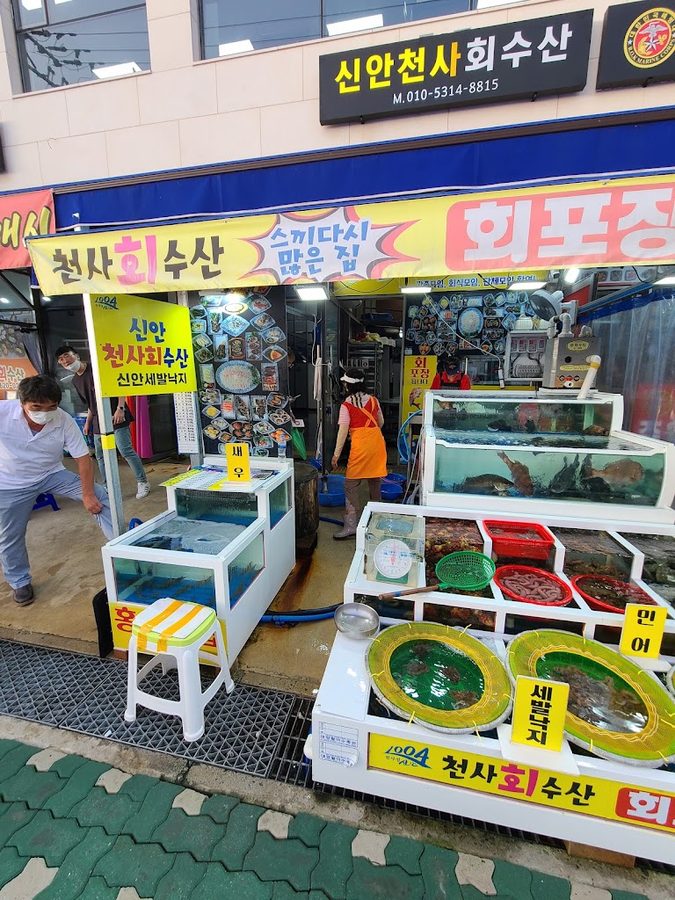 신안천사회수산
