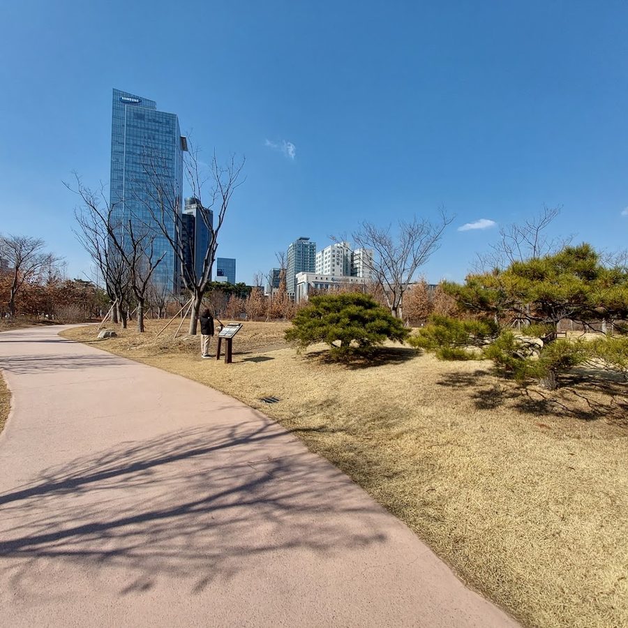 대전정부청사 자연마당