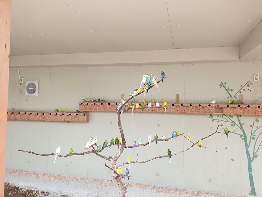 Bird & Fish Experience Center