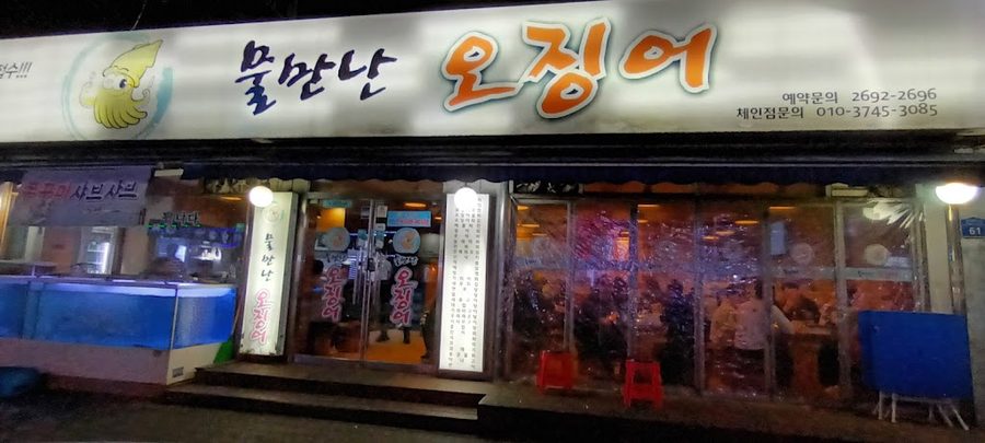 물만난 오징어