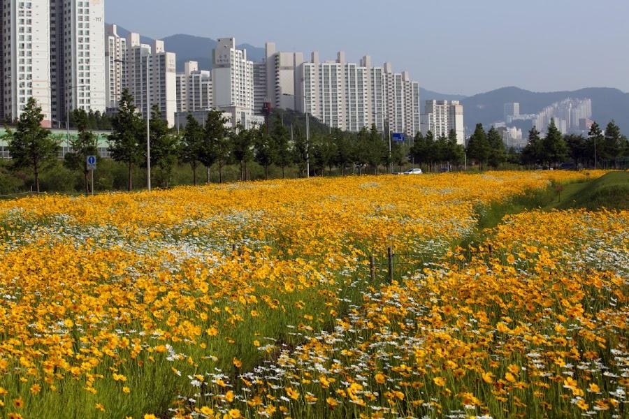 華明生態公園