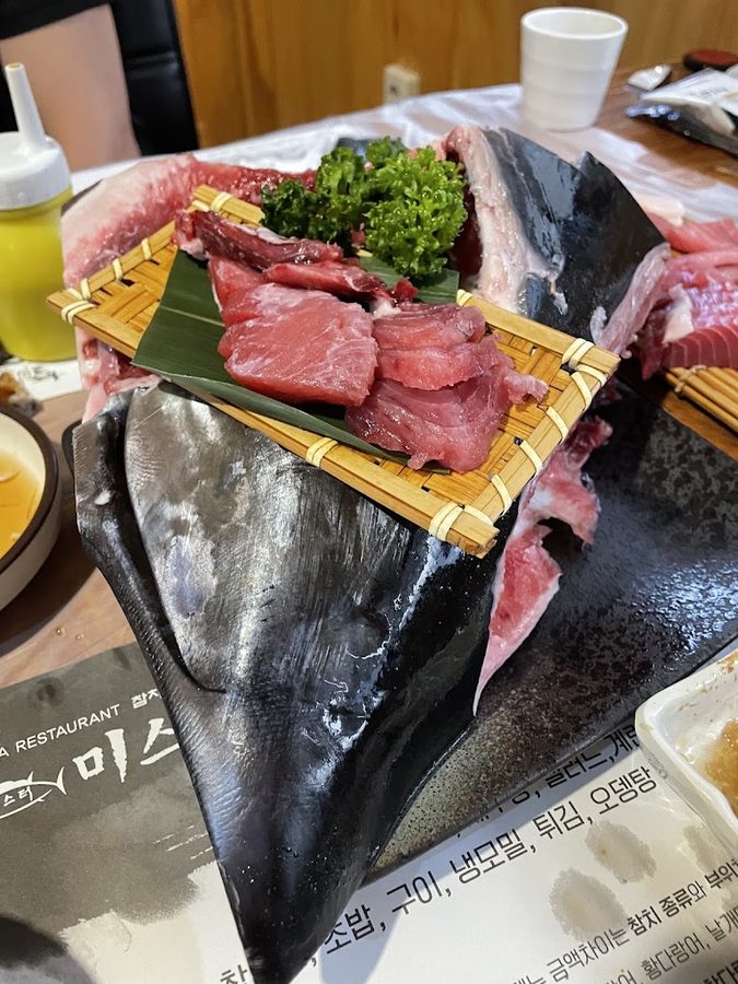 미스터참치