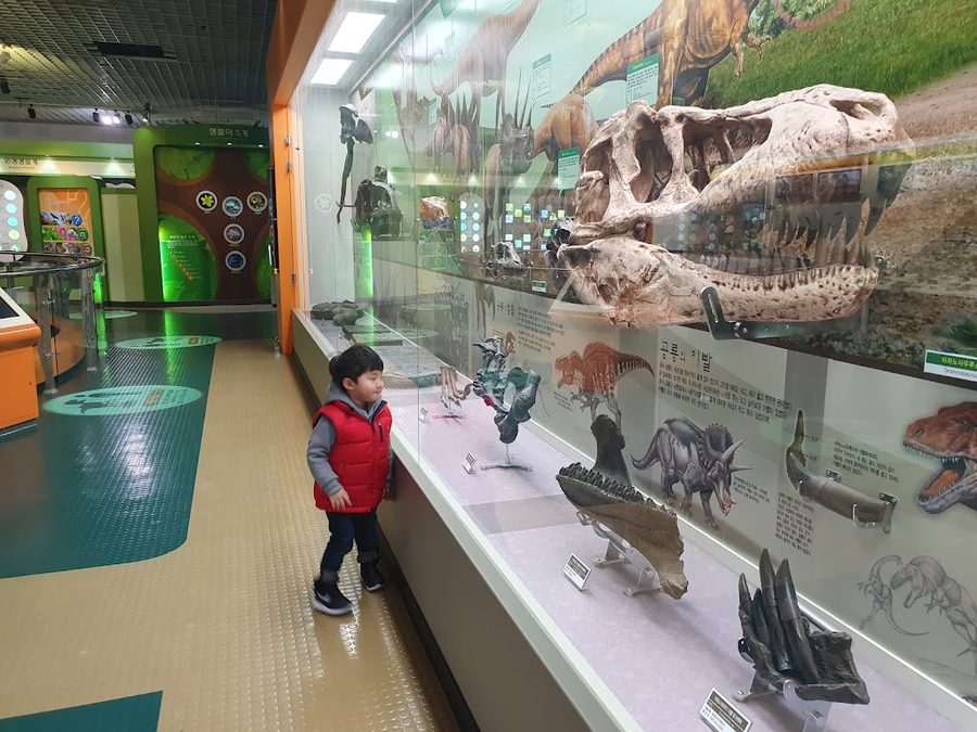 仁川学生科学館
