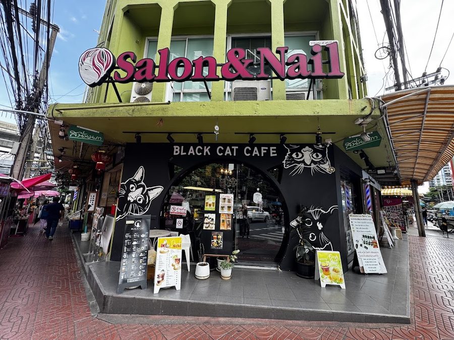 Black Cat Cafe